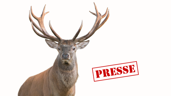 Rothirsch Presse NEU