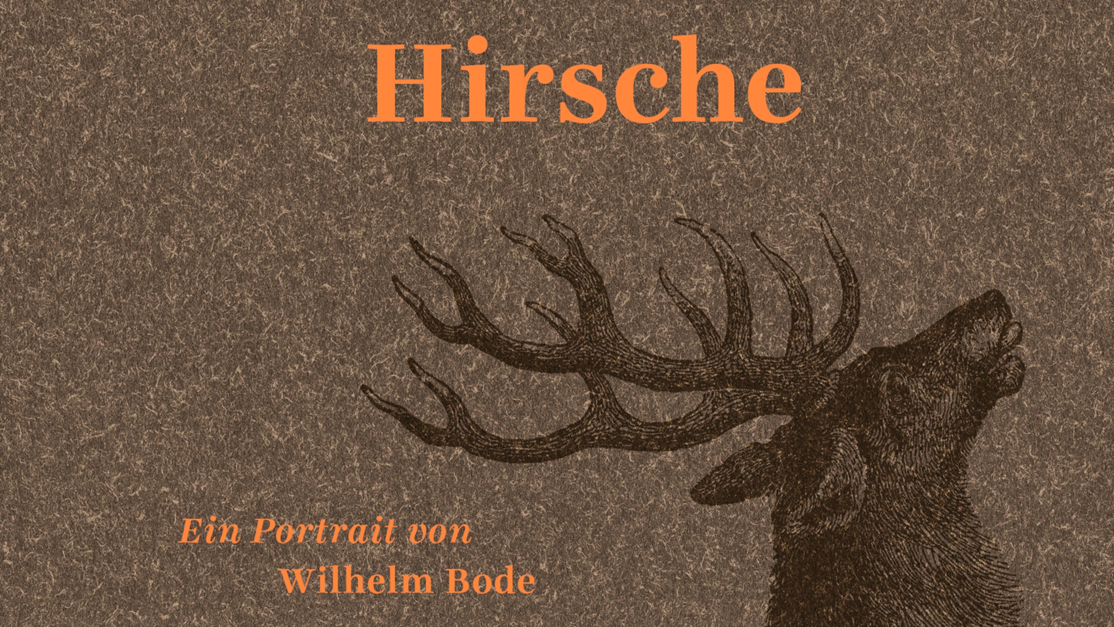 HIRSCHE