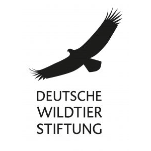 Schreiadler.org