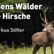 Hessens Wälder ohne Hirsche