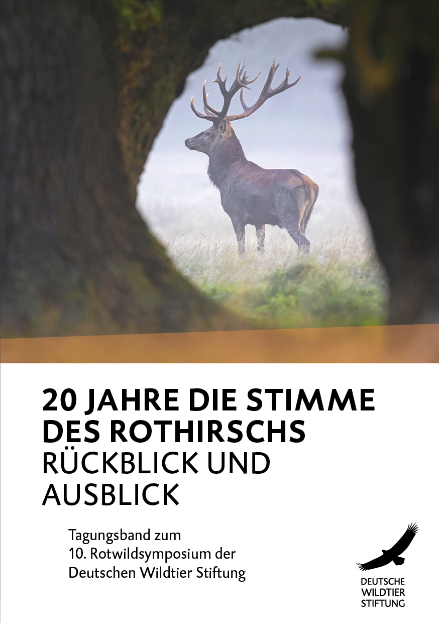 20 Jahre die Stimme des Rothirschs