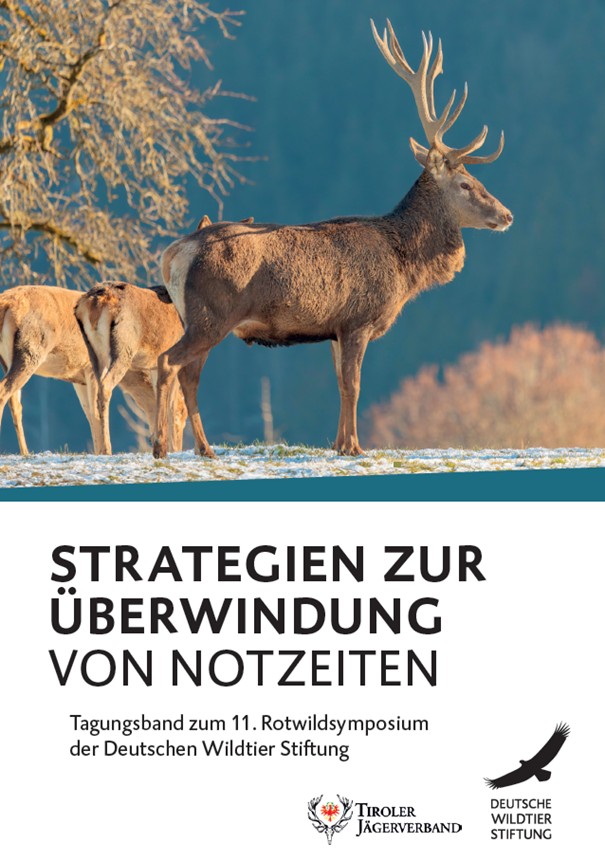 Strategien zur Überwung von Notzeiten
